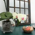 Apartament Refugio *