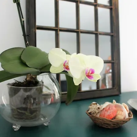 Apartment Refugio *